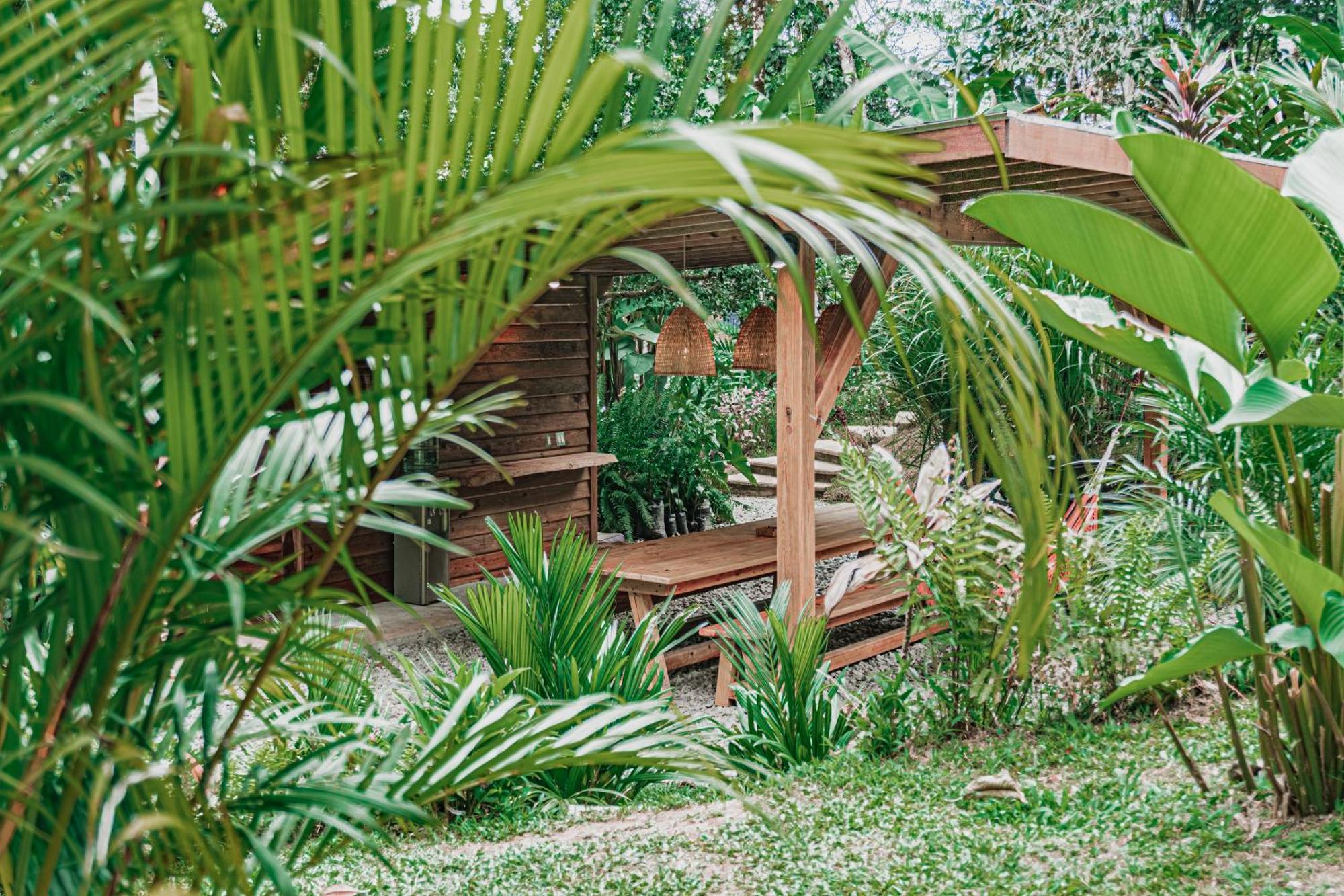 Bocas Garden Lodges 보카스 타운 외부 사진